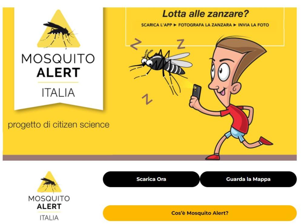 West Nile, Sapienza e Iss lanciano l'app per tracciare le zanzare